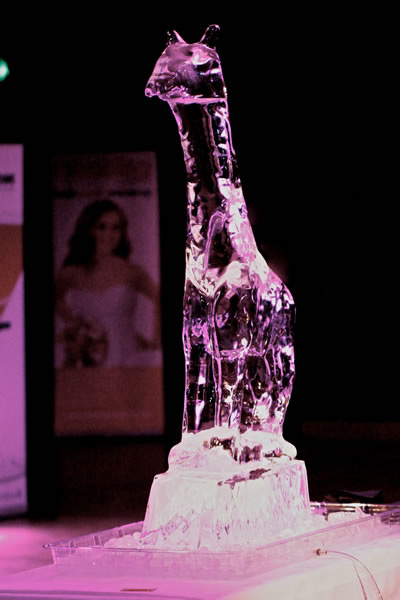 wedding-ideas-awards
